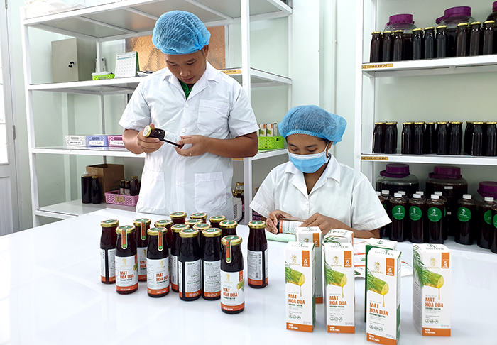 Tái cấu trúc ngành hàng “tỉ đô” theo hướng bền vững