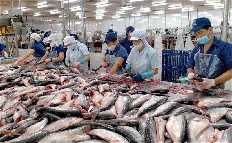Hướng đi chủ đạo trong quý IV/2025 và năm 2026 sẽ là mở rộng xuất khẩu sang khối CPTPP (Canada, Mexico, Malaysia, Anh) và Trung Đông.