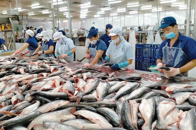 Xuất khẩu thủy sản cũng kỳ vọng đạt 10,5 – 11 tỷ USD trong năm 2025. Ảnh minh họa