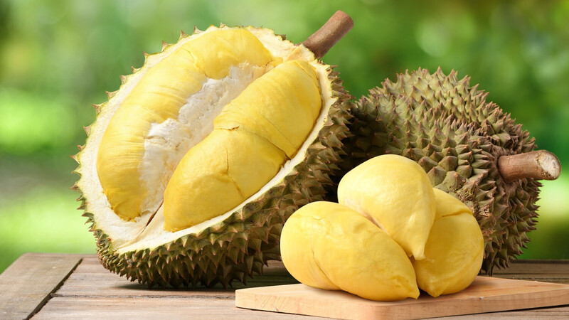 Xuất khẩu sầu riêng được kỳ vọng sẽ dẫn dắt ngàng rau quả trong năm 2026. Ảnh minh họa