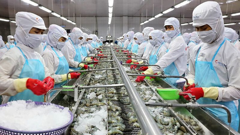 Doanh nghiệp xuất khẩu cần sớm thay đổi nhận thức, coi tiêu chuẩn bền vững là yêu cầu bắt buộc chứ không phải lựa chọn. Ảnh minh hoạ
