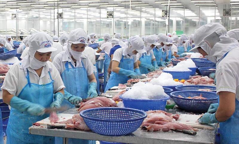 Tổng kim ngạch xuất khẩu cá tra của Việt Nam đã vượt mốc 2 tỷ USD trong 11 tháng đầu năm.