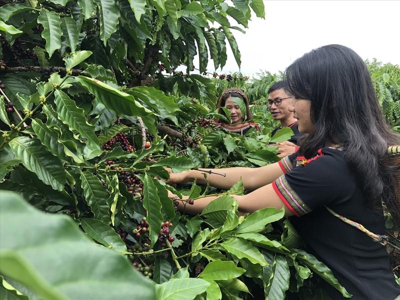 Doanh nghiệp Việt Nam chưa tận dụng tối đa ưu đãi từ quy tắc xuất xứ trong FTA. Ảnh minh họa