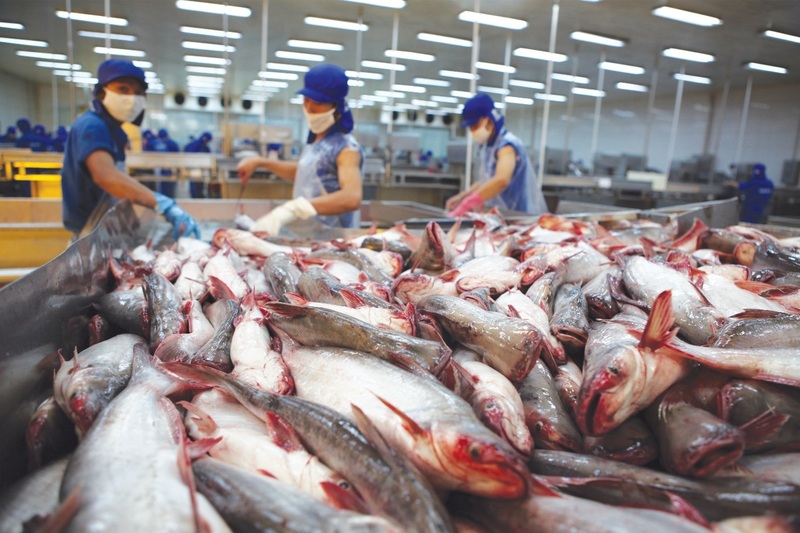 Doanh nghiệp xuất khẩu chủ động ứng phó hiệu quả trước các vụ điều tra phòng vệ thương mại. Ảnh minh họa