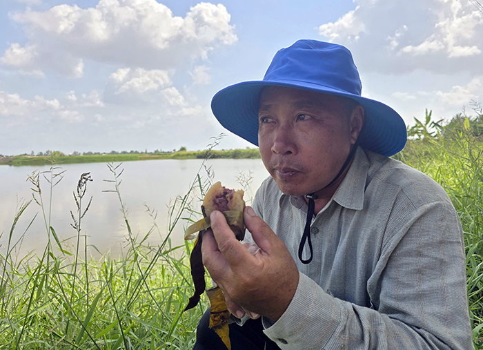 Nông dân Cà Mau trúng mùa tôm càng xanh