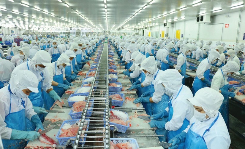 Xuất khẩu cá tra tháng 1/2026 tăng 59% so với cùng kỳ.