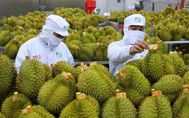2 tháng đầu năm 2026, kim ngạch xuất khẩu rau quả tăng 60% so với cùng kỳ. Ảnh minh họa