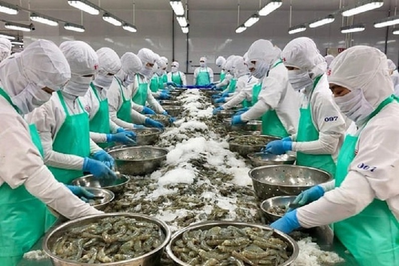 Theo các báo cáo kiểm soát nhập khẩu gần đây của FDA, tôm vẫn là một trong những mặt hàng thủy sản bị từ chối nhập khẩu nhiều nhất vào thị trường Hoa Kỳ.