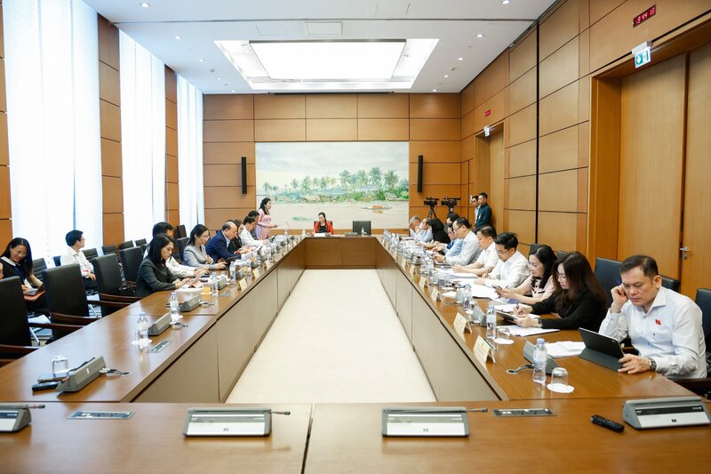 Đại biểu Đinh Thị Phương Lan, Đoàn đại biểu Quốc hội Quảng Ngãi đề xuất, dự thảo Nghị quyết quan tâm nhiều hơn đến các cơ chế chính sách để bảo tồn, phát triển văn hóa của các dân tộc thiểu số.