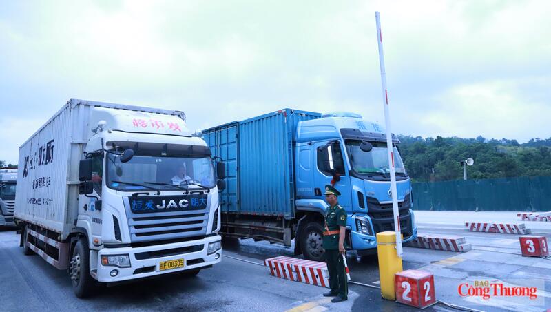 Hoạt động xuất nhập khẩu hàng hóa tại các cửa khẩu, đường chuyên dụng, lối thông quan trên địa bàn Lạng Sơn diễn ra bình thường. Ảnh: Trần Khoa