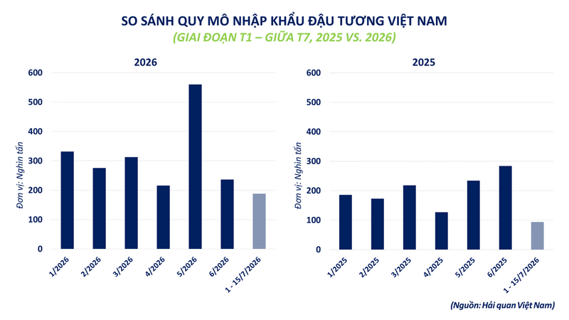 So sánh quy mô nhập khẩu đậu tương Việt Nam.