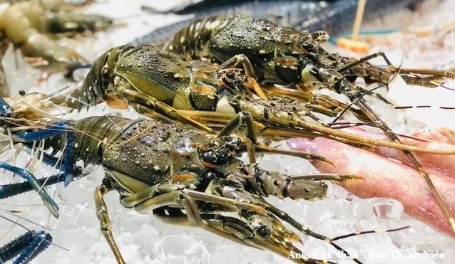 Tôm là nhóm sản phẩm đóng góp lớn nhất, đạt 2,35 tỷ USD, tăng 14,2% và chiếm 40,7% tổng kim ngạch thủy sản.
