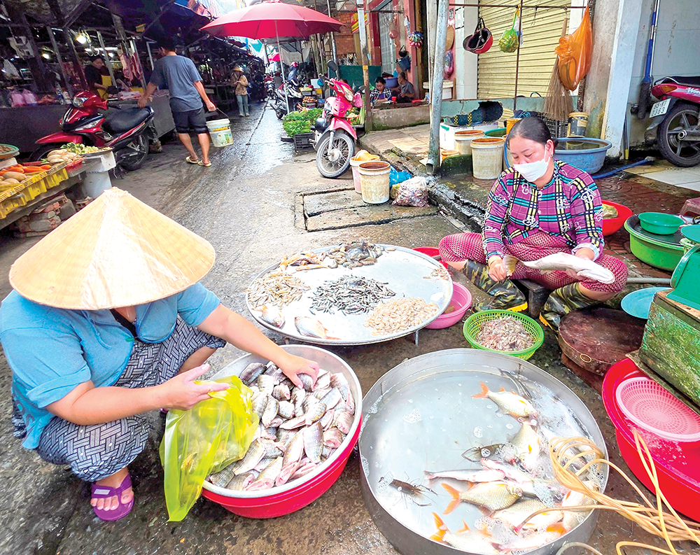 Dạo quanh thị trường 22-7