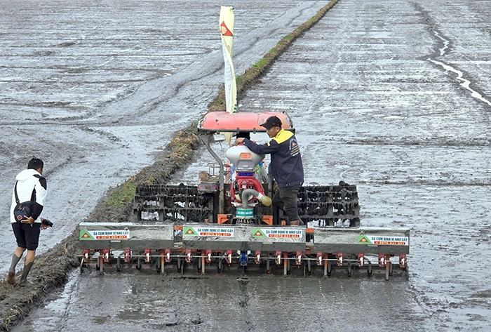 Nhân rộng quản lý dinh dưỡng chính xác trong Đề án phát triển bền vững 1 triệu héc-ta chuyên canh lúa chất lượng cao và phát thải thấp