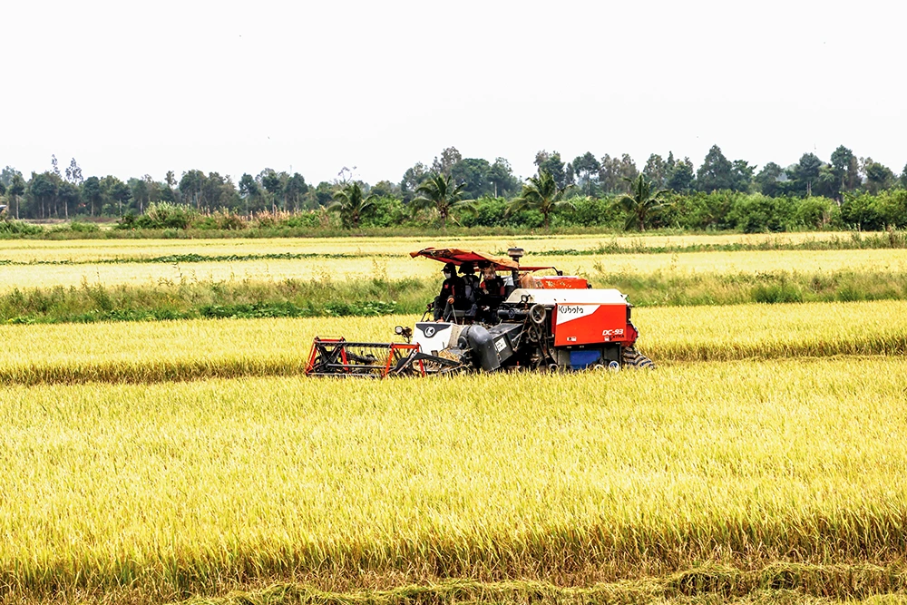 Cùng canh tác xanh, cùng phát triển bền vững