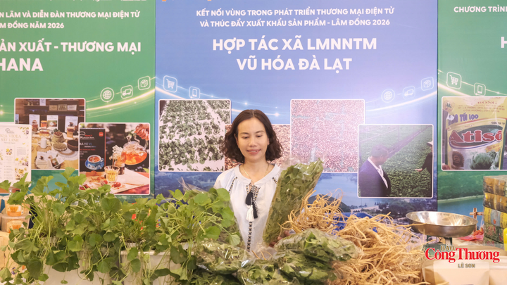 Lâm Đồng kết nối vùng, thúc đẩy thương mại điện tử gắn với xuất khẩu - 3
