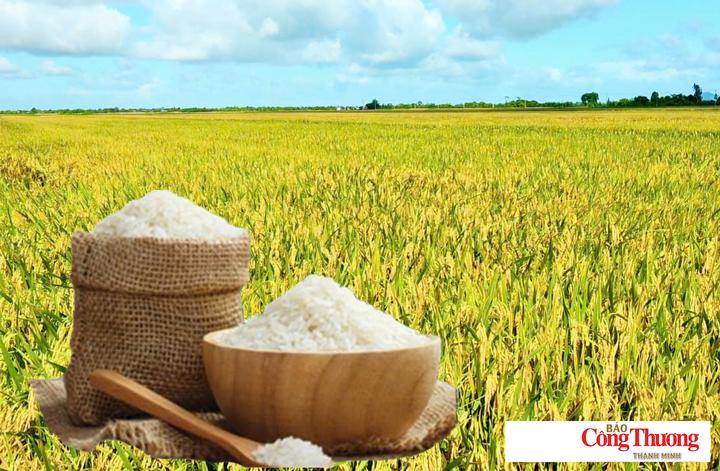 Giá lúa gạo hôm nay ngày 27/10/2026: Gạo xuất khẩu tăng mạnh.