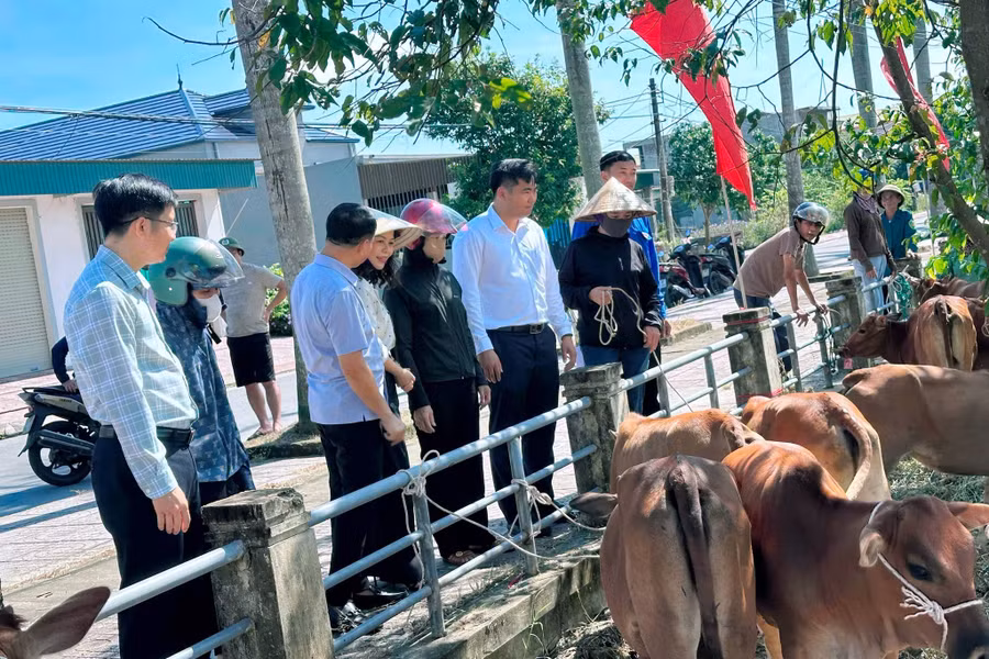 UBMTTQ Hà Tĩnh cùng chính quyền địa phương trao bò giống cho các hộ nghèo, cận nghèo tại xã Thạch Lạc. (Ảnh TT Thạch Lạc) 829874355-2364349080766905-8111005658426273493-n.jpg